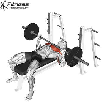 Flat Barbell Bench Press