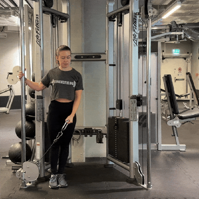Cable Lateral Raise