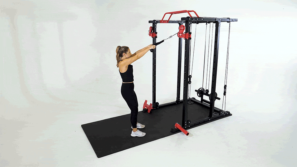 Face Pulls