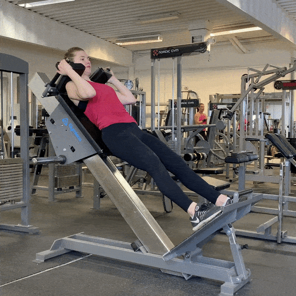 Hack Squat