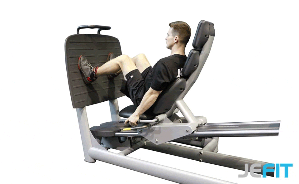 Leg Press