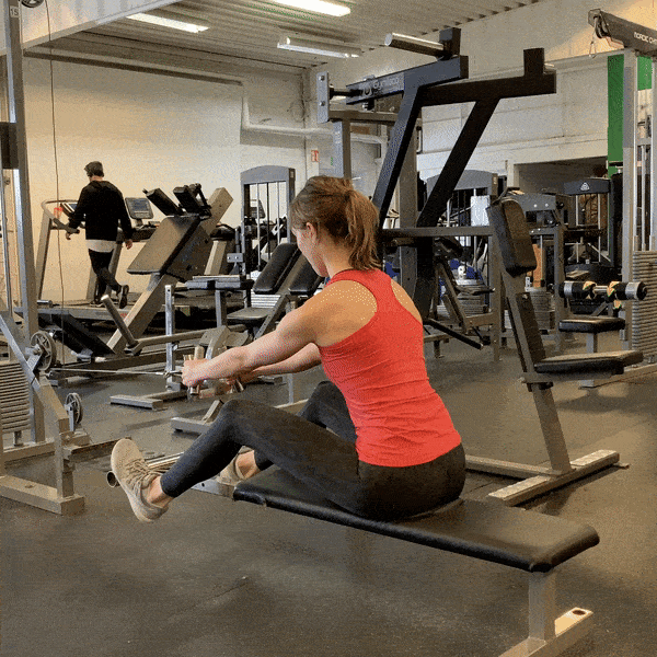 Seated Cable Row (Close Grip)