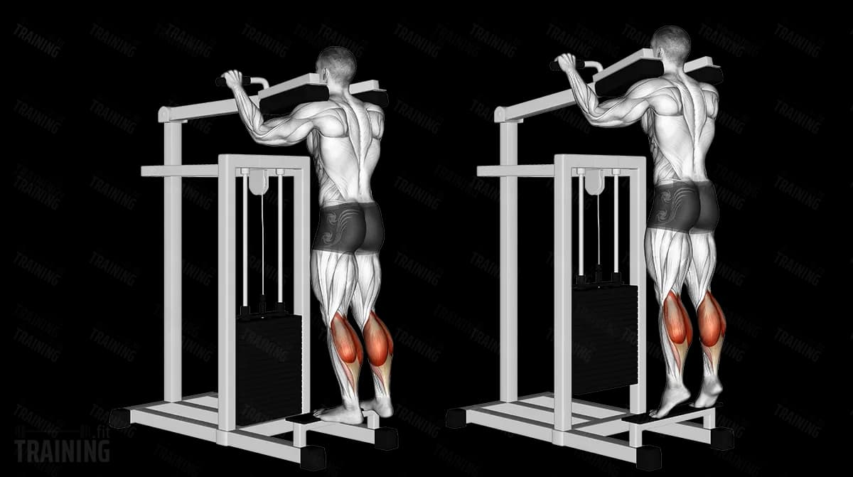 Standing Calf Raise